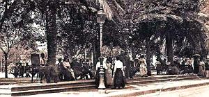 2782- Oran - Place d'Armes2